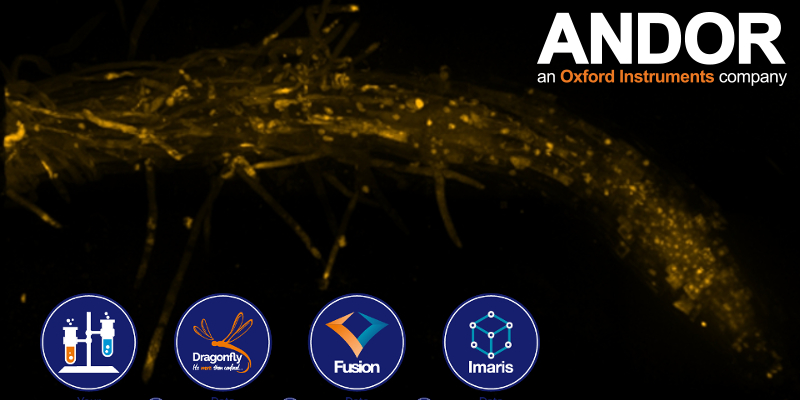 Aplikace: Konfokální mikroskopie rostlinných vzorků