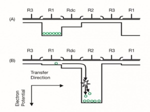 Digital Camera Fundamentals - Andor