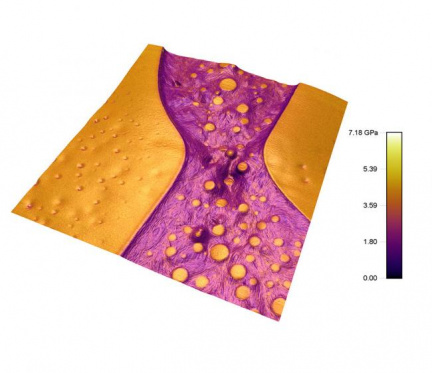 Ukázka měření v módu AM-FM mapování viskoelasticity