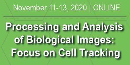 Online kurz: Zpracování a analýza obrazových dat