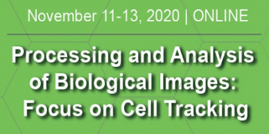 Online kurz: Zpracování a analýza obrazových dat