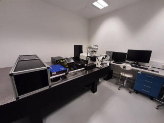 Upgrade konfokálního mikroskopu na CARS mikroskopii