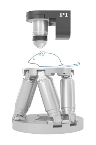 Polohovací systémy pro stereo mikroskopii