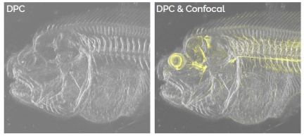 Fázový kontrast a dekonvoluce