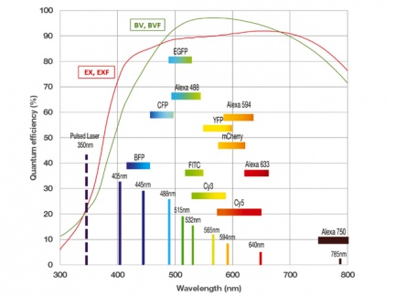 Kvantová účinnost EMCCD kamery iXon Ultra 888 s vyznačenými fluorofory
