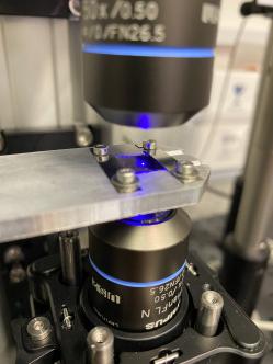 Pump & probe fázový mikroskop