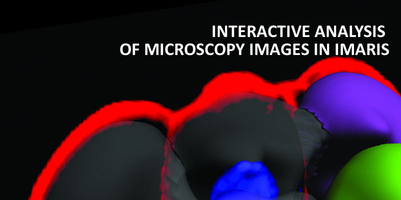 Imaris workshop, ÚMG Praha